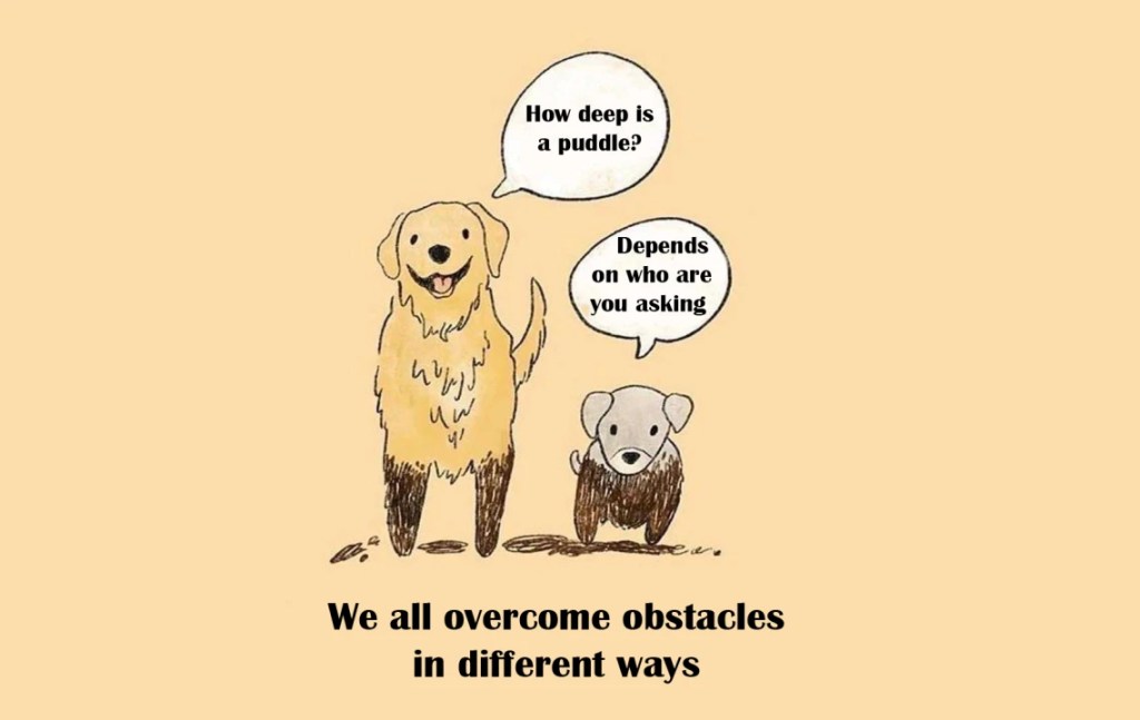 Demystifying Communication Biases